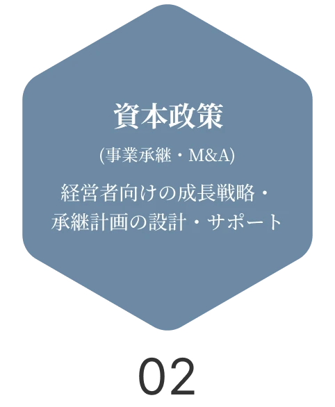 資本政策